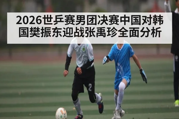 2026世乒赛男团决赛中国对韩国樊振东迎战张禹珍全面分析