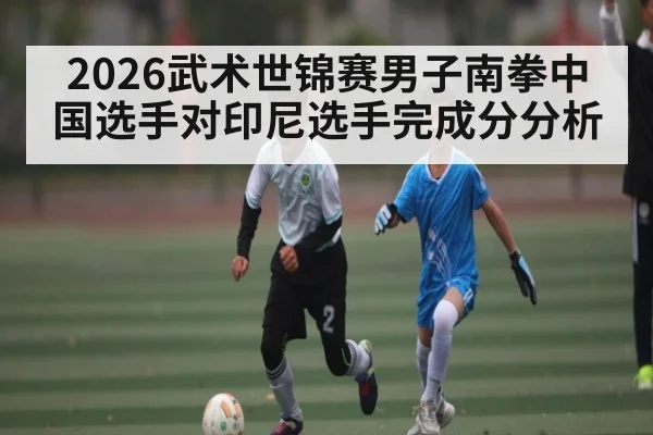 2026武术世锦赛男子南拳中国选手对印尼选手完成分分析