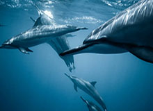 天博体育内容-“希望下一代球员再破纪录”！对话U23国足队员